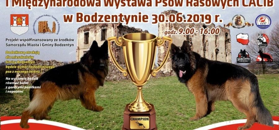 I Międzynarodowa Wystawa Psów Rasowych CACIB w Bodzentynie