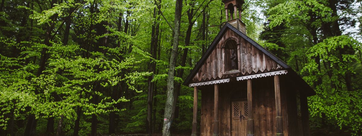 Świętokrzyski Park Narodowy wprowadza całoroczne opłaty za wstęp