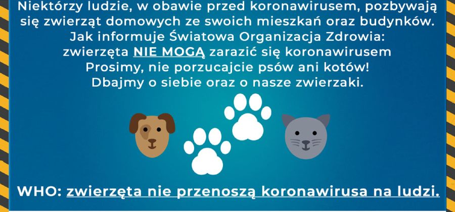 WHO: zwierzęta nie przenoszą koronawirusa na ludzi