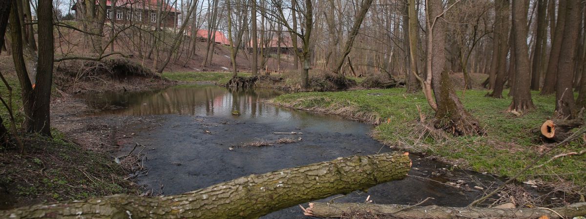 Wideoinformator MiG Bodzentyn - wydanie z dnia 27.04.2019 r. 