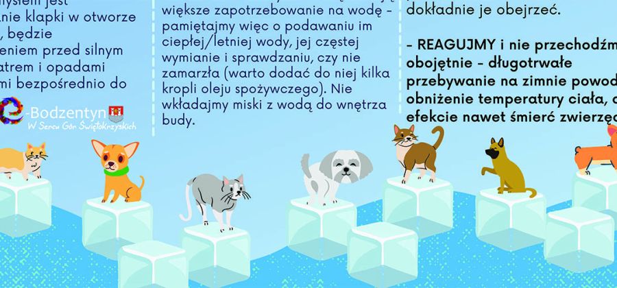 Zabezpiecz swoje zwierzęta przed mrozem