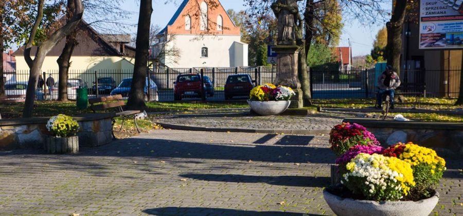 Gmina Bodzentyn wspiera regionalnych hodowców kwiatów