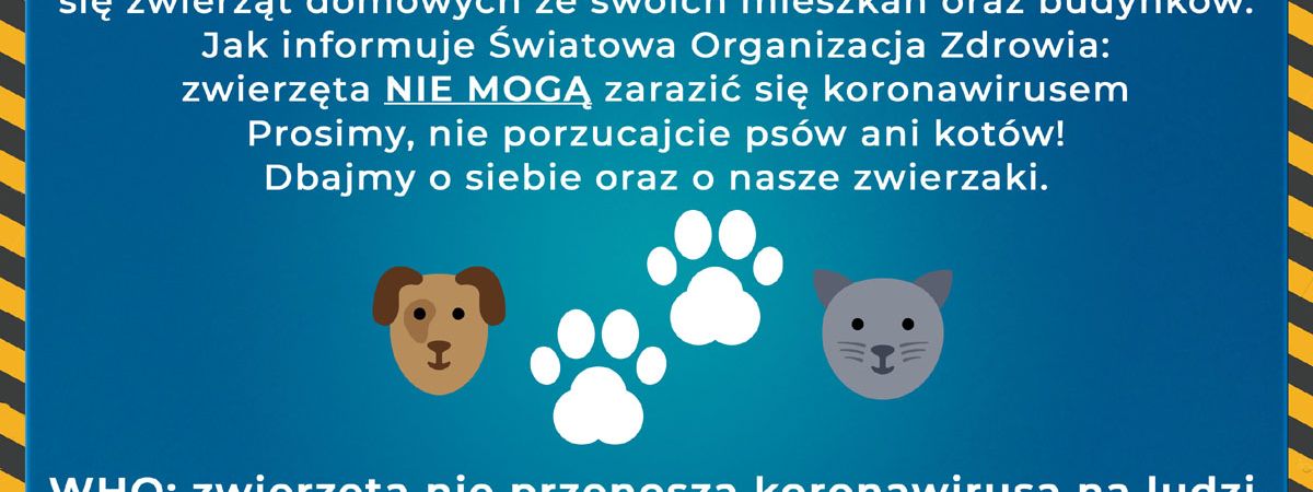 WHO: zwierzęta nie przenoszą koronawirusa na ludzi