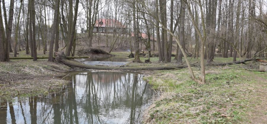 Ruszyły przygotowania do budowy ścieżki ścieżki edukacyjno - historyczno - przyrodniczej w "Małpim Gaju"