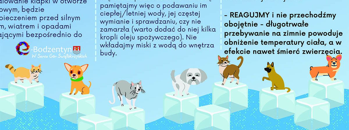 Zabezpiecz swoje zwierzęta przed mrozem