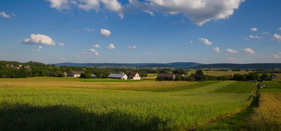 Orzechówka gmina Bodzentyn