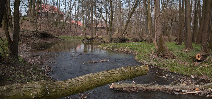 Wideoinformator MiG Bodzentyn - wydanie z dnia 27.04.2019 r.