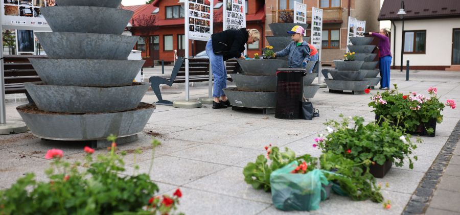 Mieszkańcy ponownie ukwiecili bodzentyńskie rynki