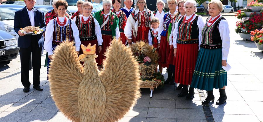 Dożynki parafialne w Bodzentynie 2026 - galeria zdjęć