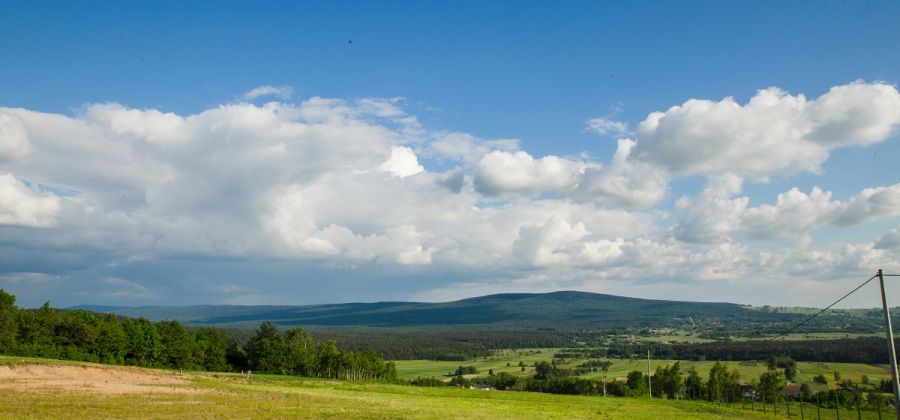 Las Świętokrzyski Park Narodowy