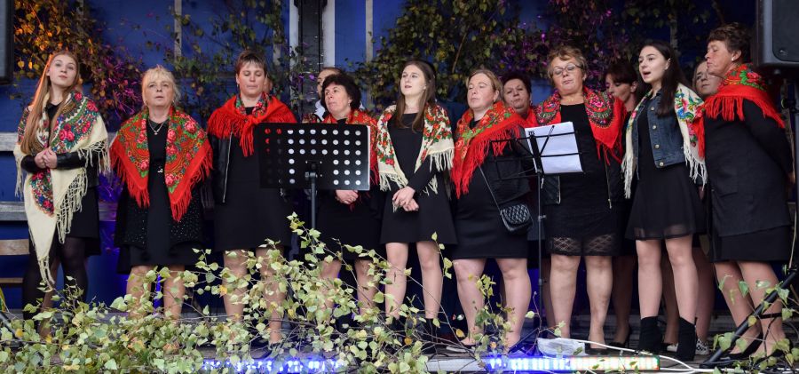 Udana zabawa podczas festynu Rodzinnego w Wiącce - zdjęcia