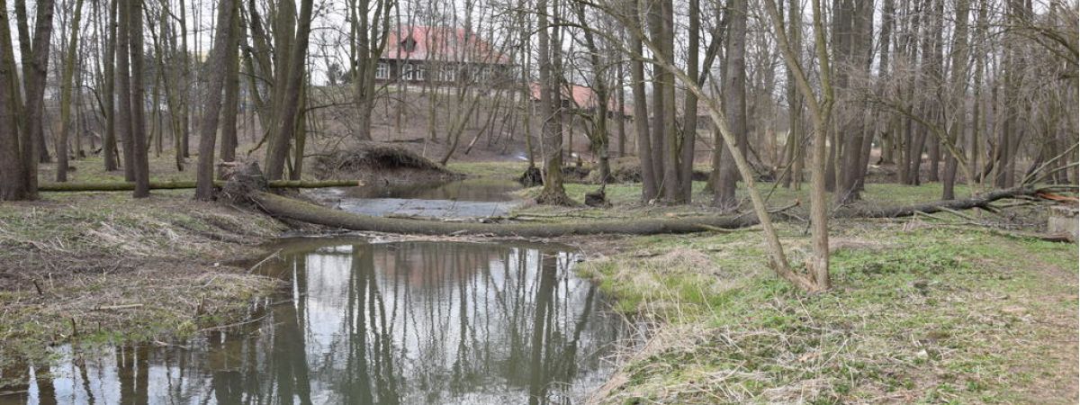 Ruszyły przygotowania do budowy ścieżki ścieżki edukacyjno - historyczno - przyrodniczej w "Małpim Gaju"