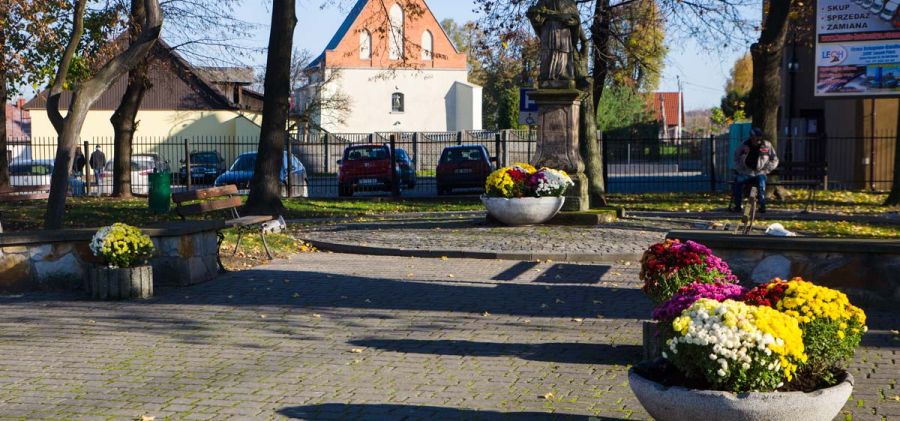 Gmina Bodzentyn wspiera regionalnych hodowców kwiatów