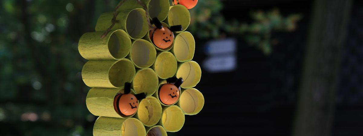 Dzień Pszczół w Świętokrzyskim Parku Narodowym