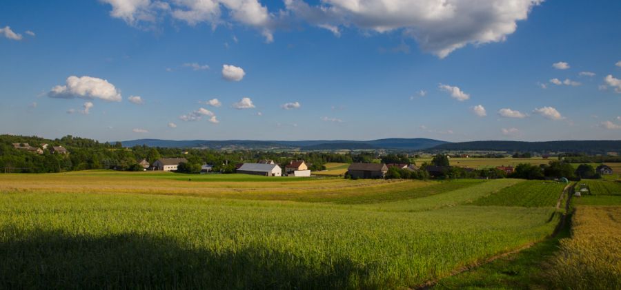 Orzechówka gmina Bodzentyn