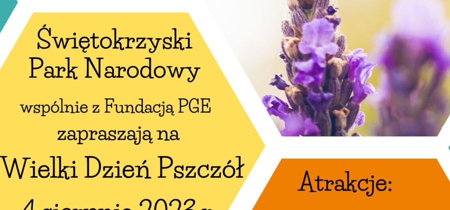 Zapraszamy na Wielki Dzień Pszczół do Świętokrzyskiego Parku Narodowego