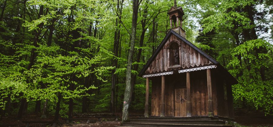 Świętokrzyski Park Narodowy wprowadza całoroczne opłaty za wstęp