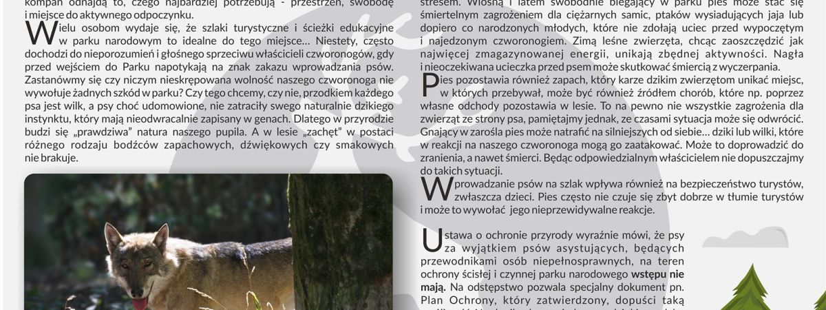 Czy wolno wprowadzać psy do Świętokrzyskiego parku Narodowego?