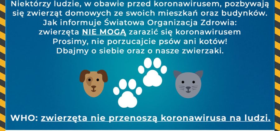 WHO: zwierzęta nie przenoszą koronawirusa na ludzi