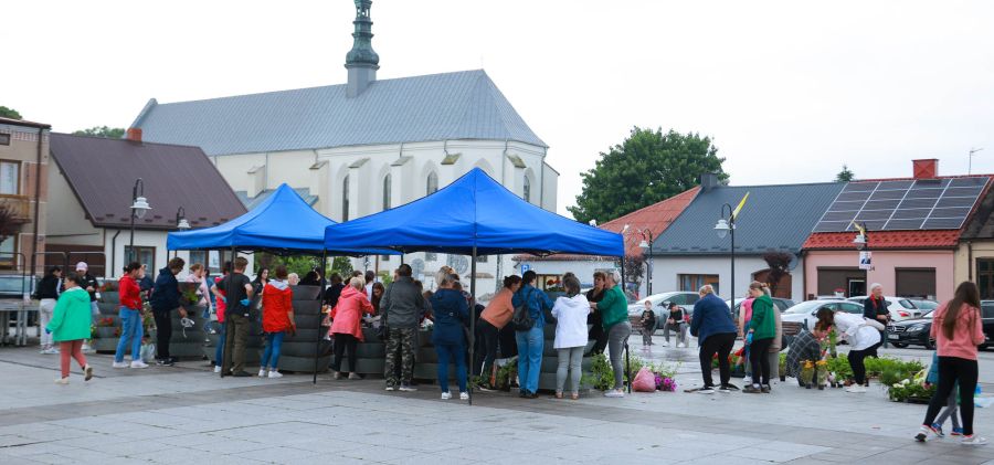 Bodzentyn Zakwitł Dzięki Wspólnemu Wysiłkowi Mieszkańców!