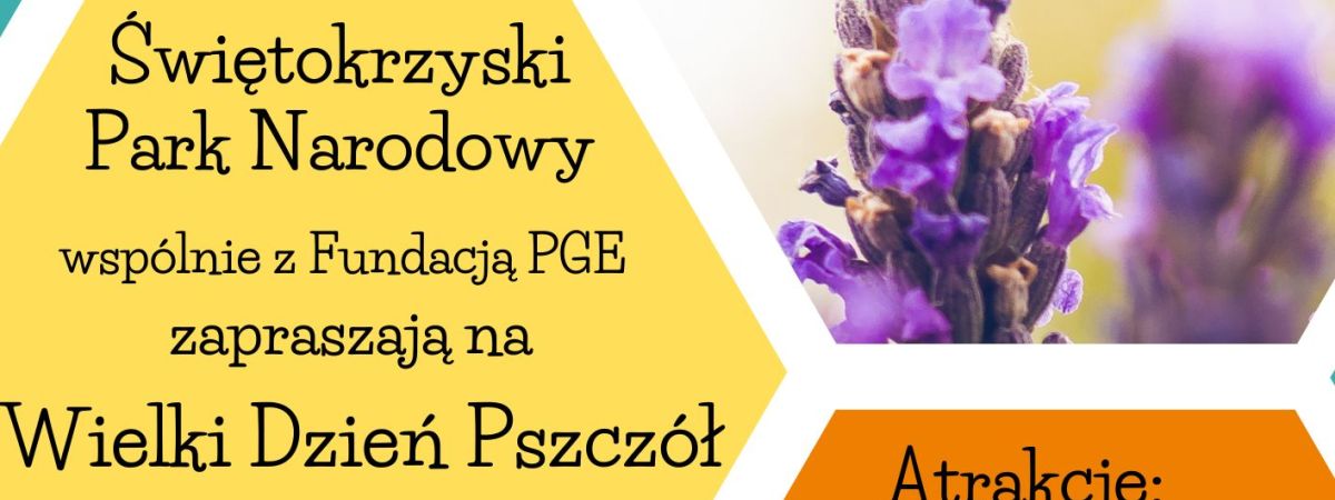 Wielki dzień pszczół w Świętokrzyskim Parku Narodowym