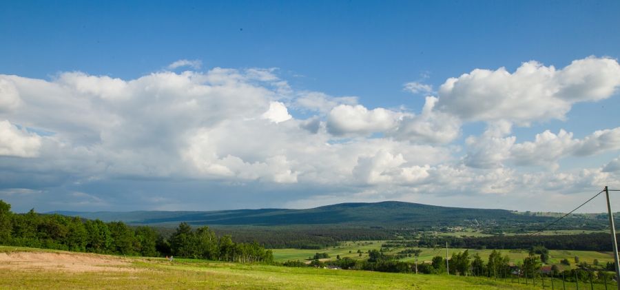 Las Świętokrzyski Park Narodowy