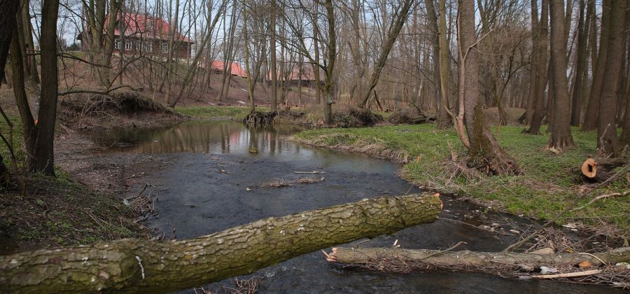 Wideoinformator MiG Bodzentyn - wydanie z dnia 27.04.2019 r.