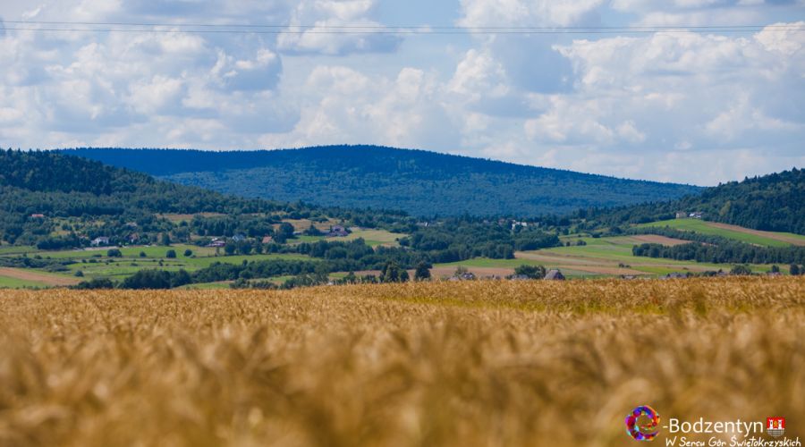 Biegiem poznajemy Gminę Bodzentyn Leśna