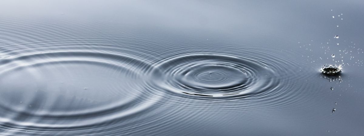 Opinia Narodowego Instytutu Zdrowia Publicznego dotycząca okresowych przekroczeń zawartości jonów ołowiu w wodzie z ujęcia Wzdół Parcele 