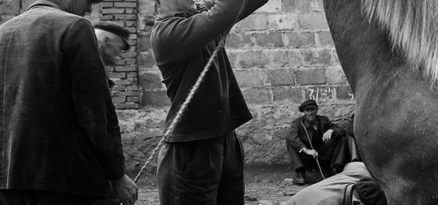 Wernisaż - Jarmark Chłopski w Bodzentynie